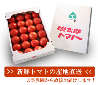 新鮮トマトの産地直送